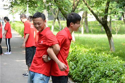 图片八